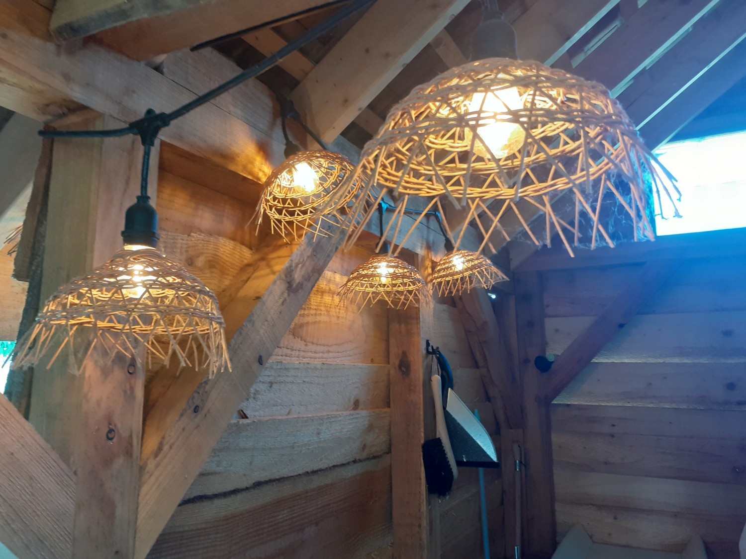 Vijf hanglampen van natuurlijk riet hangen aan een houten bovenkant in een interieur met houten muren.